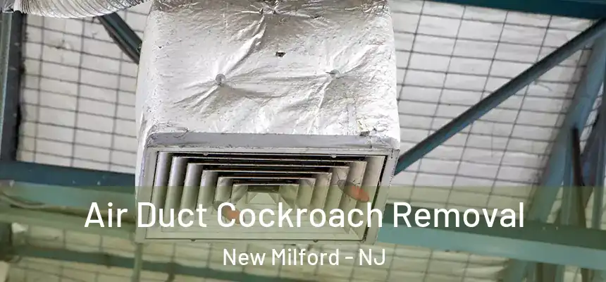  Air Duct Cockroach Removal New Milford - NJ