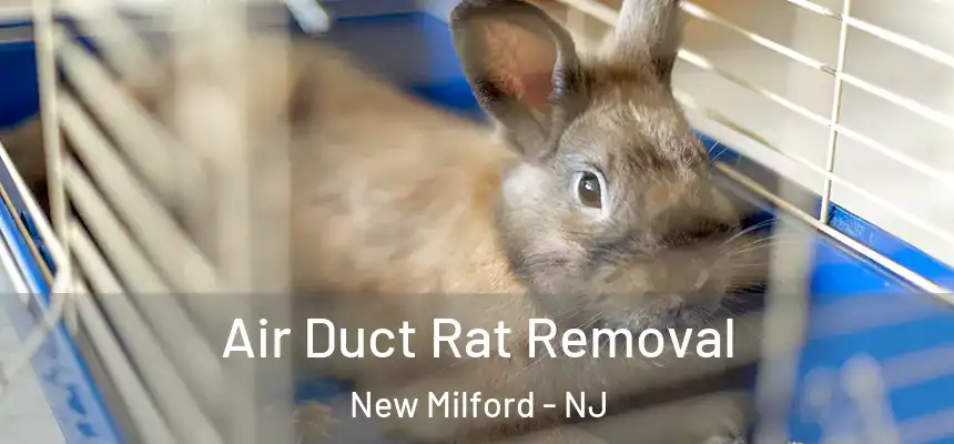  Air Duct Rat Removal New Milford - NJ