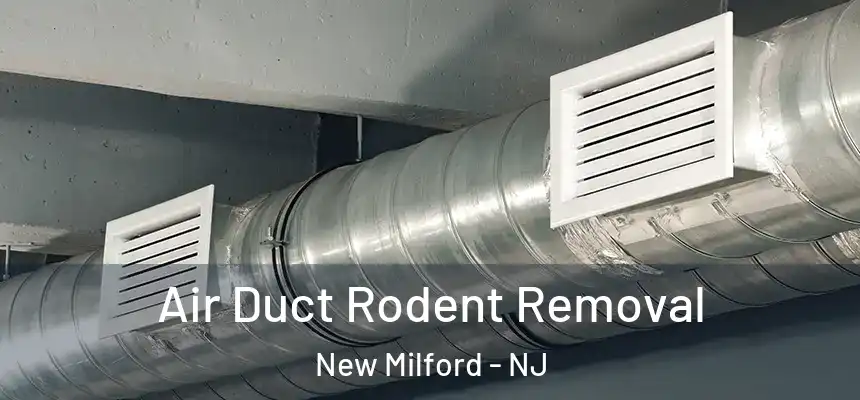  Air Duct Rodent Removal New Milford - NJ