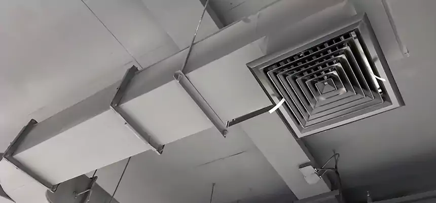 Restorative Allergy Relief Vent Cleaning – Coil, Blower & Housing Detail in New Milford