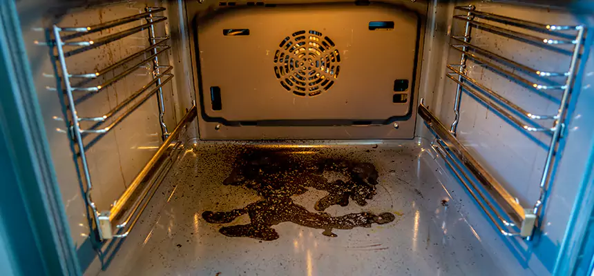 Our Dryer Vent Mold Cleaning Services in New Milford, NJ