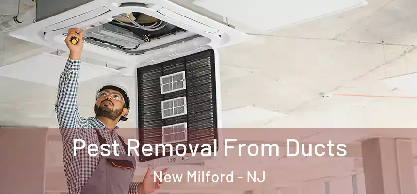  Pest Removal From Ducts New Milford - NJ