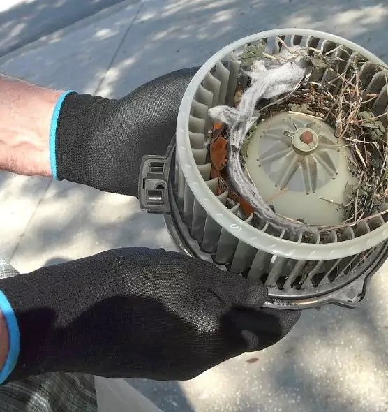 About Air Duct Rat Removal in New Milford, NJ