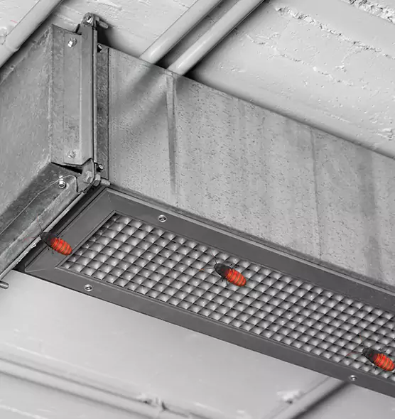 Affordable Insect Removal from Air Ducts in New Milford, NJ