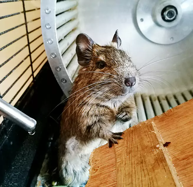 Why Homeowners & Businesses Trust Us New Milford, NJ?